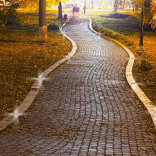 SKU 8566 MR16 Луна За Земя 12V Тристранна с марка V-TAC