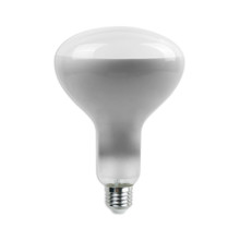LED Bulb - 8W Straight Filament E27 R125 Dimmable 4000K 