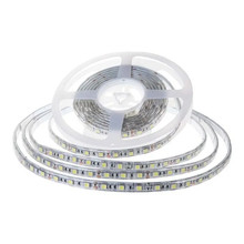 LED Strip SMD2835 - 120 LEDs 24V IP65 6500K  Double PCB 10M Roll