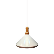 Modern Pendant Light Wooden Top Iron White Color ф250