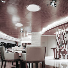 20W-40W-20W  LED Domelight With Remote Control CCT Changeable Φ400 70mm Starry Cover