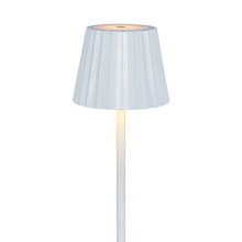 4W Led Table Lamp White 3in1