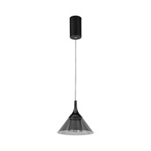 9W LED Designer Hanging Lamp (19.5*17.5*100CM) Black 4000K