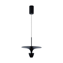 9W LED Designer Hanging Lamp (30*320*100CM) Black Body 4000K