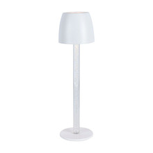 3W LED Table Lamp - Transparent Pole 3000K White Body