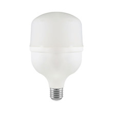 LED Bulb - 30W Plastic T100 6500K