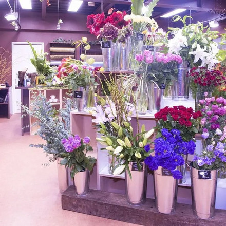 SKU 6326 LED Пура T8 18W - 120 см За Осветяване На Растения с марка V-TAC