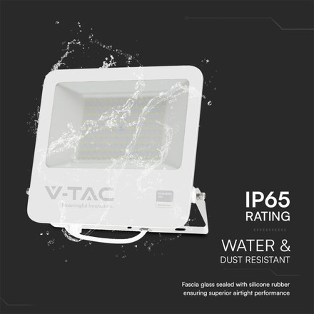 100W LED Floodlight SMD SAMSUNG CHIP 1m Wire White Body Grey Frosted Glass 6400K