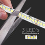 LED Strip SMD2835 - 238 LEDs 24V IP20 6500K  135LM/W