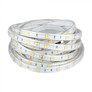 LED Лента 12V 4000K IP65 SMD3528 60 диода на метър SKU 212460 V-TAC