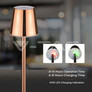 3W Led Table Lamp Rechargeable Touch Dimmable Gold Body 4000K