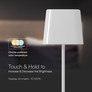 5W LED Magnetic Table Lamp With Battery 3600mAh CCT: 3IN1 White Body Dimmable