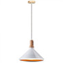 Modern Pendant Light Wooden Top Iron White Color ф250
